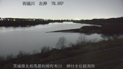 tonos2026021002_image