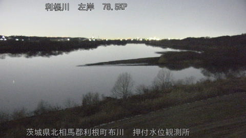 tonos2026021004_image