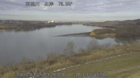 tonos2026021009_image