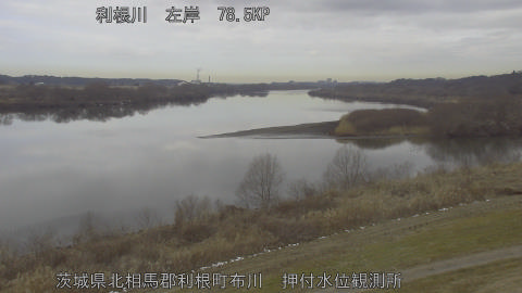 tonos2026021011_image