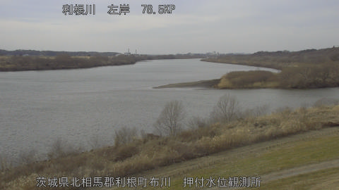 tonos2026021014_image