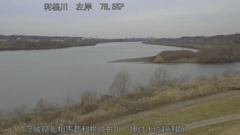 tonos2026021015_image