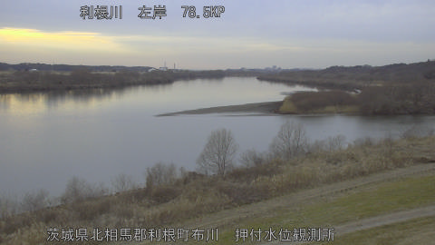 tonos2026021017_image