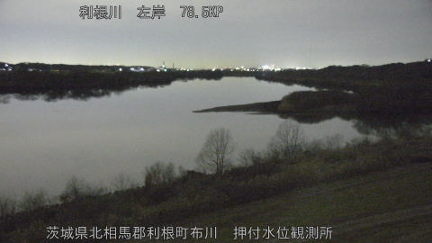 tonos2026021019_image