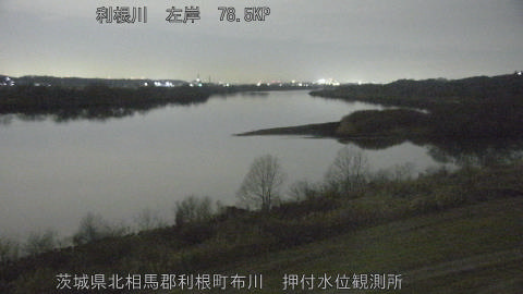 tonos2026021020_image