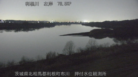 tonos2026021100_image