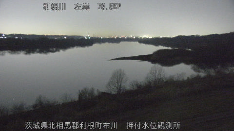 tonos2026021102_image