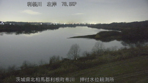 tonos2026021104_image