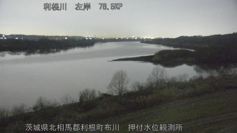 tonos2026021105_image