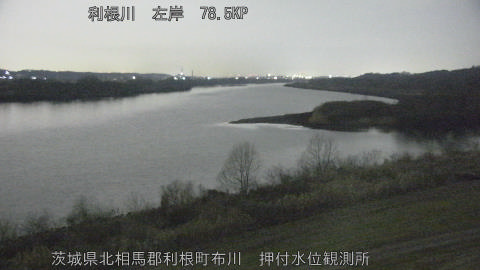 tonos2026021106_image