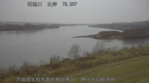 tonos2026021107_image