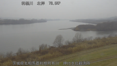 tonos2026021111_image