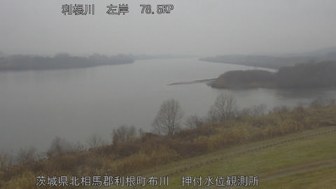 tonos2026021112_image