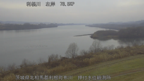 tonos2026021114_image