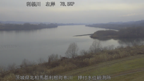 tonos2026021115_image