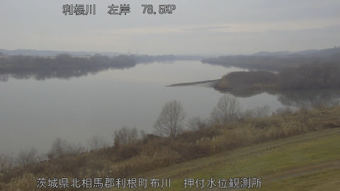 tonos2026021116_image