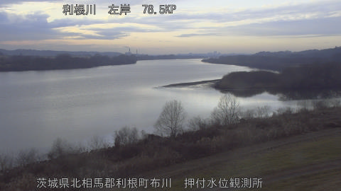 tonos2026021117_image