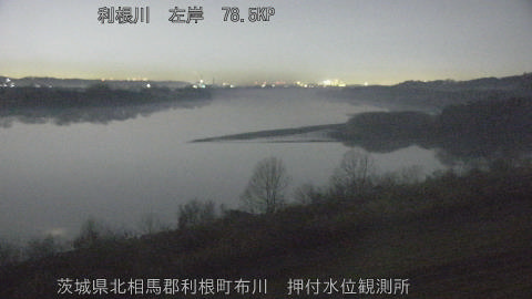 tonos2026021120_image