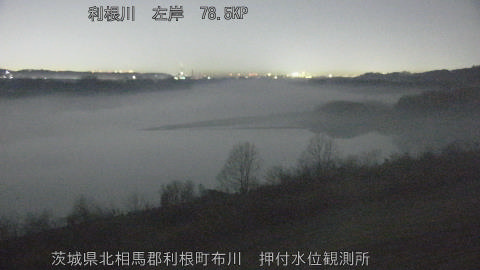 tonos2026021122_image