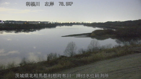 tonos2026021206_image