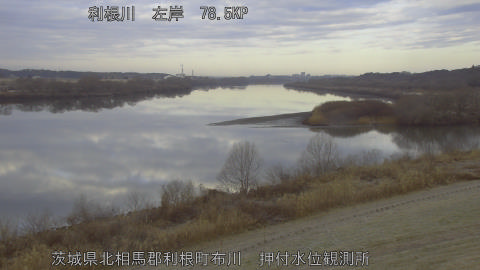 tonos2026021208_image