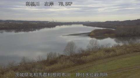 tonos2026021209_image