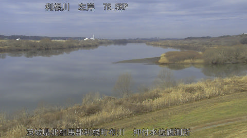 tonos2026021210_image