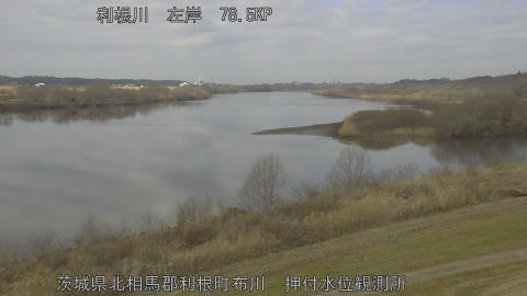 tonos2026021211_image