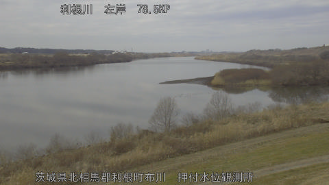 tonos2026021212_image