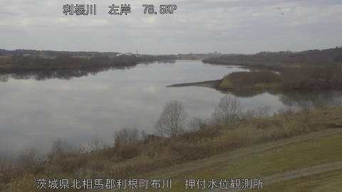 tonos2026021213_image