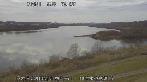 tonos2026021214_image