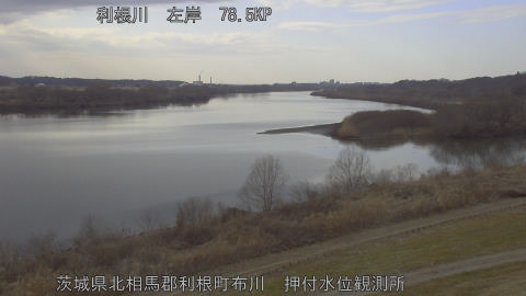 tonos2026021215_image