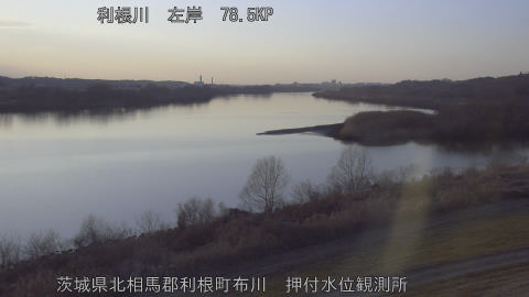 tonos2026021217_image