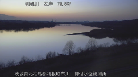 tonos2026021218_image