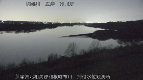 tonos2026021220_image