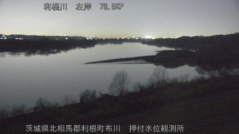 tonos2026021223_image