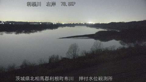 tonos2026021300_image