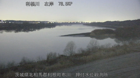 tonos2026021306_image