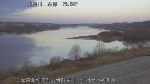 tonos2026021307_image