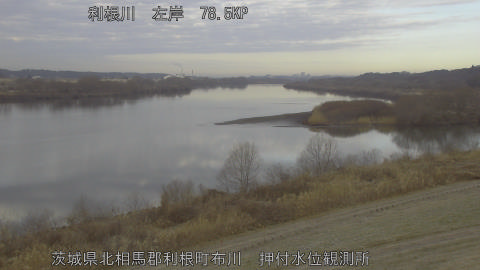 tonos2026021308_image