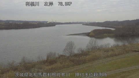 tonos2026021310_image