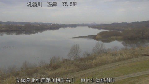 tonos2026021311_image