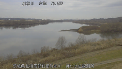 tonos2026021312_image