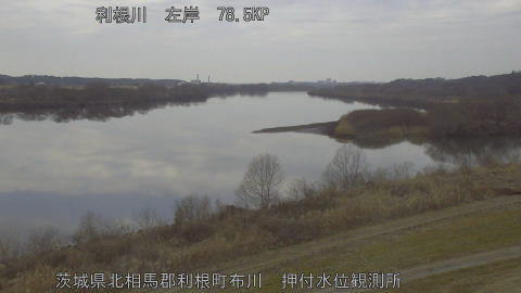 tonos2026021313_image