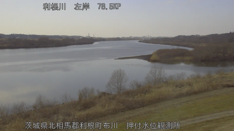 tonos2026021314_image