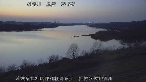 tonos2026021318_image