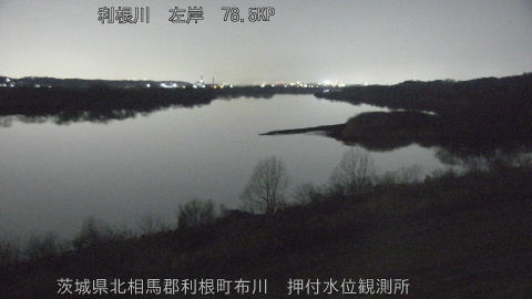 tonos2026021319_image