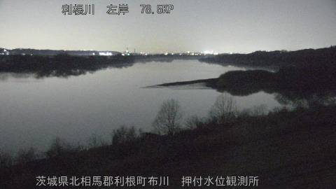 tonos2026021321_image