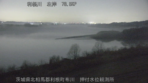 tonos2026021323_image