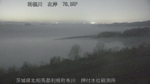 tonos2026021400_image